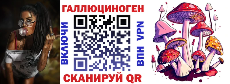 Псилоцибиновые грибы прущие грибы  Купить закладки  Кизляр 